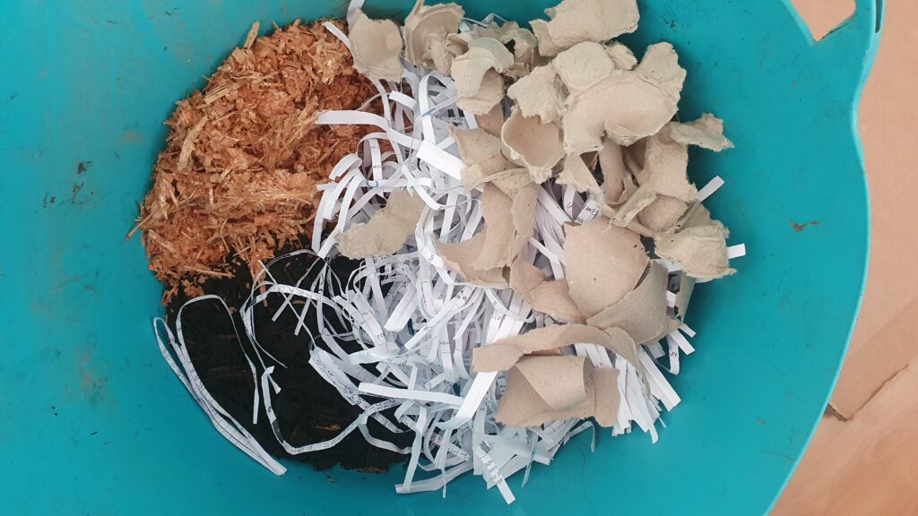 A blue bucket with mushroom substrate, cardboard, shredded paper, woodchip