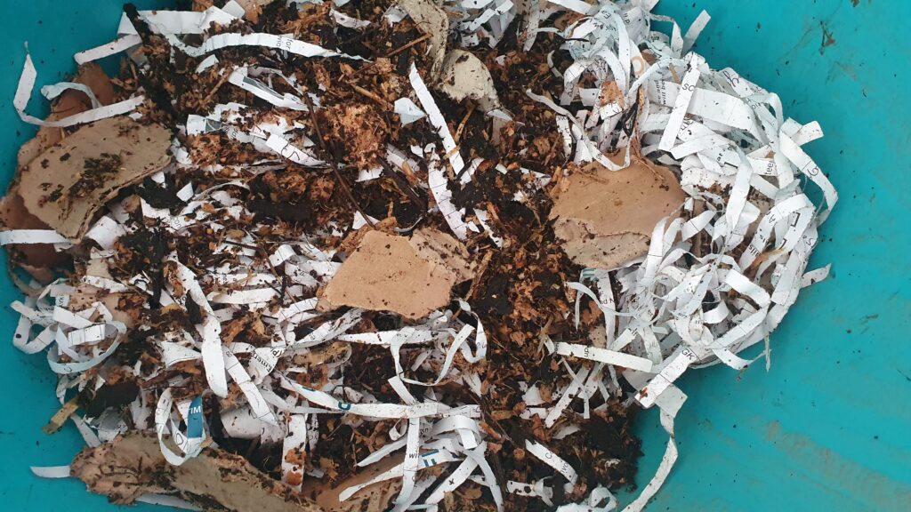 A blue bucket with mixed up cardboard, mushroom substrate, shredded paper, woodchip