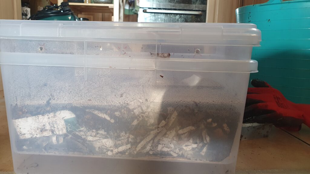 Two stacked clear plastic boxes, with a layer of worm bedding in the top one