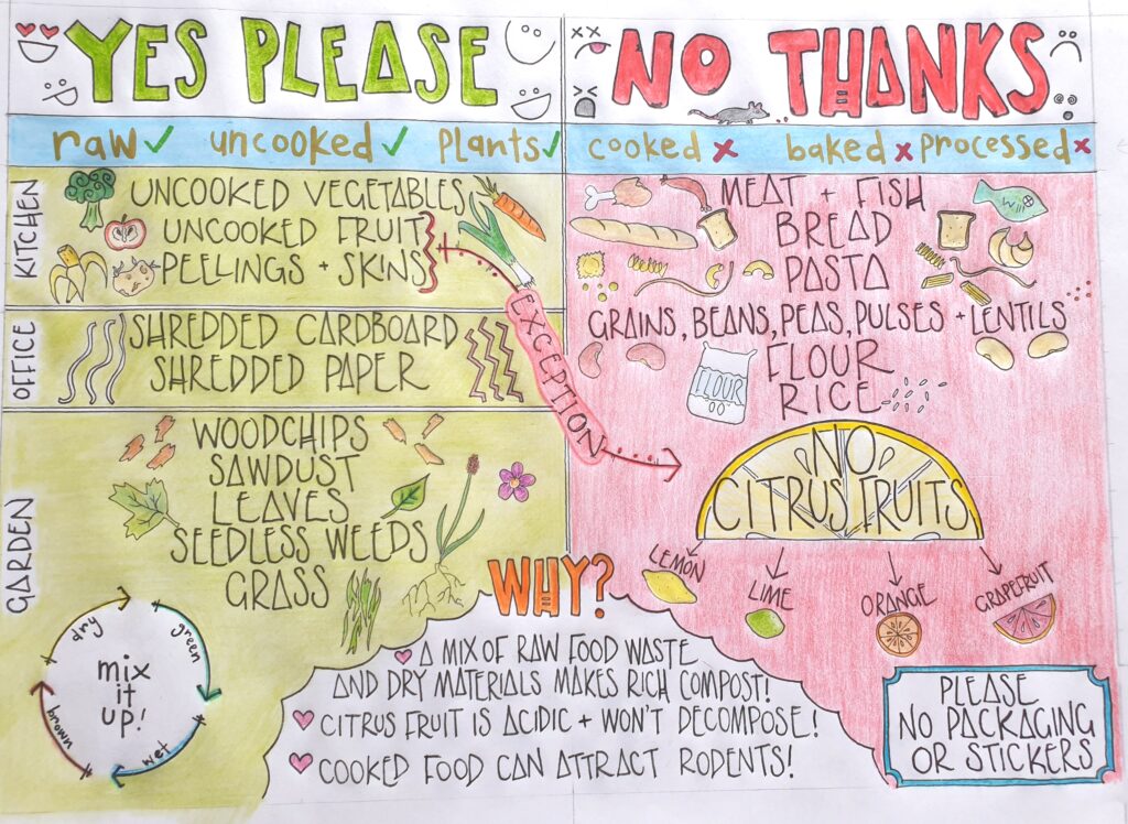YES PLEASE:
raw, uncooked, plants
uncooked vegetables
uncooked fruit
peelings and skins
shredded cardboard
shredded paper
woodchip
sawdust
leaves
seedless weeds
grass

NO THANKS
cooked, baked, processed
meat and fish
bread
pasta
grains, beans, peas, pulses, lentils
flour
rice
NO CITRUS (lemon, lime, orange, grapefruit)

Please no packaging or stickers.

Why?
A mix of raw food waste and dry materials makes rich compost!
Citrus fruit is acidic and won't decompose!
Cooked food can attract rodents!