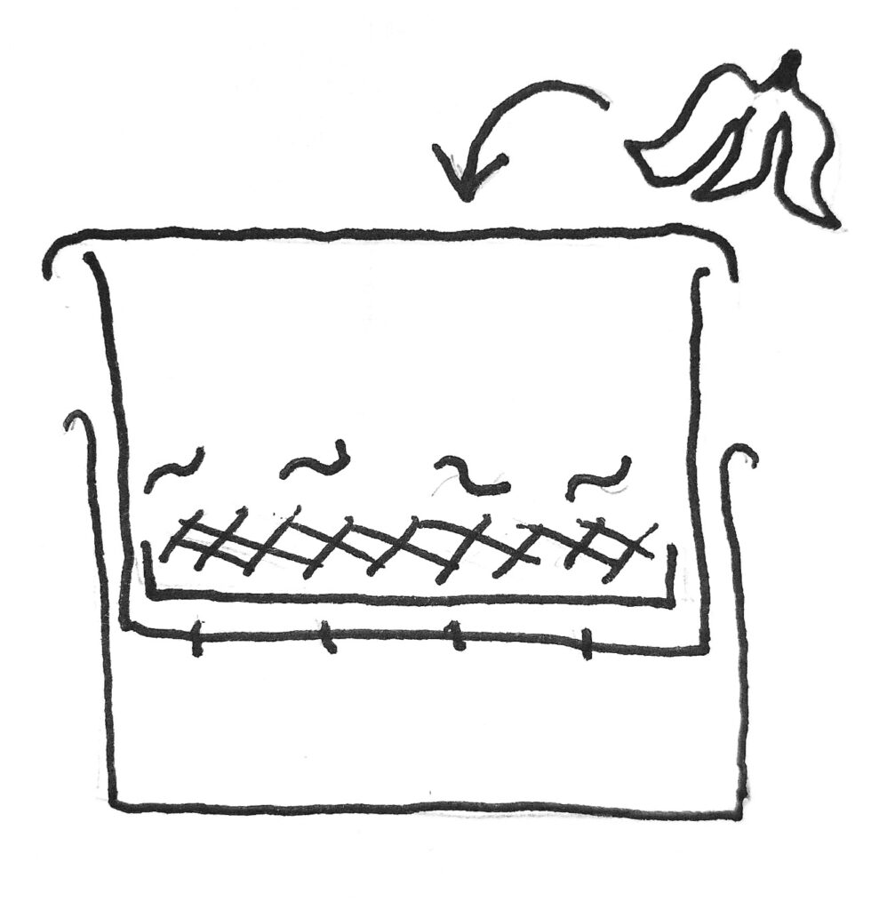 A diagram of two boxes stacked, the upper with worms and bedding/waste in