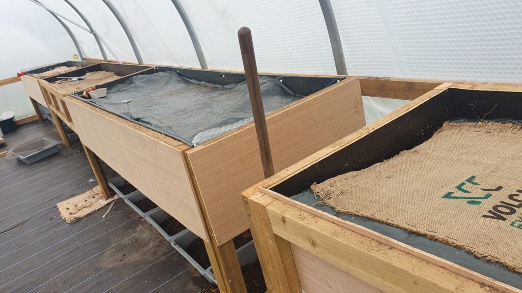 Four large wooden crates on legs inside a polytunnel