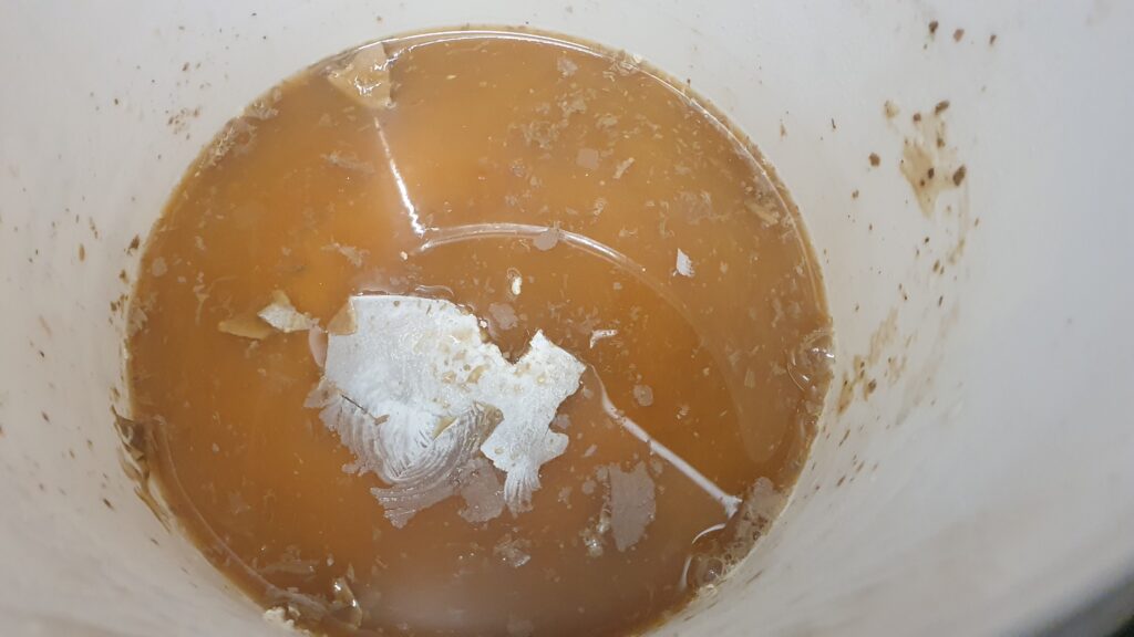 Inside a white bucket containing a few centimeters of brown liquid with some white yeast floating in it