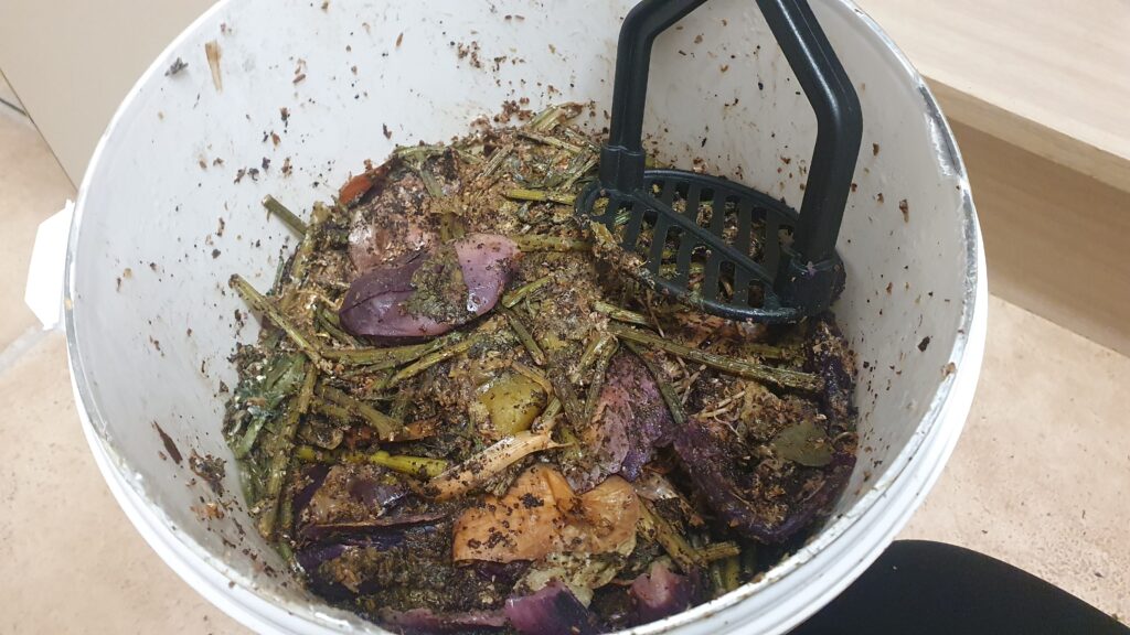 Inside a white bucket with partially fermented food waste mashed down with a potato masher