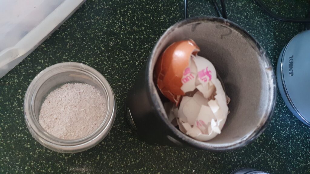 A grinder full of eggshells from above, beside a container of fine powdered eggshells