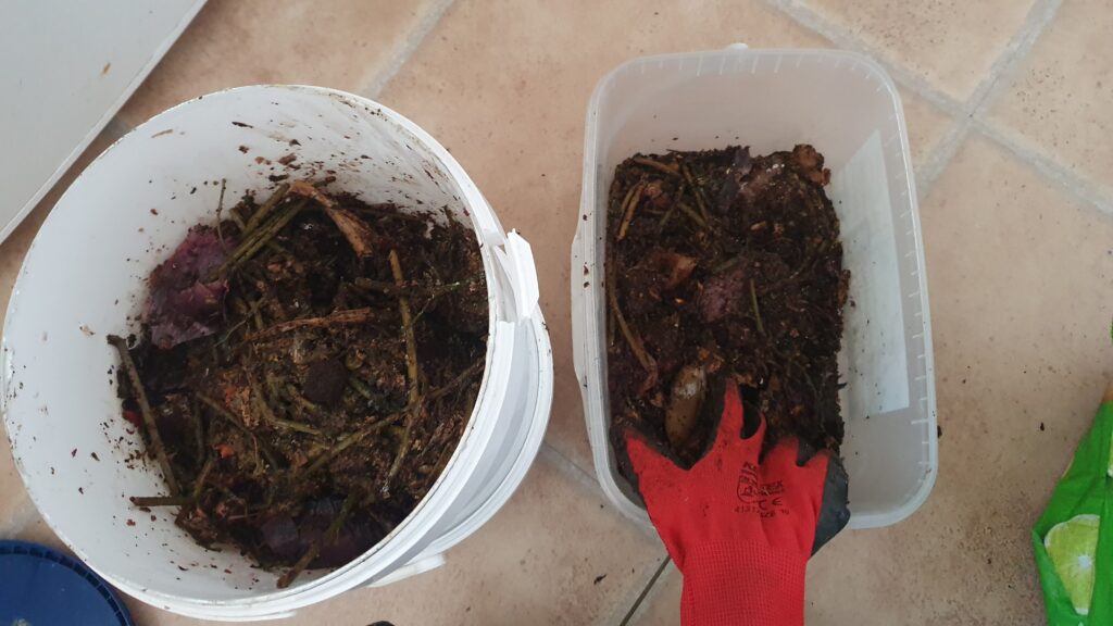 Two buckets side by side, containing mixes of food waste and worm bedding