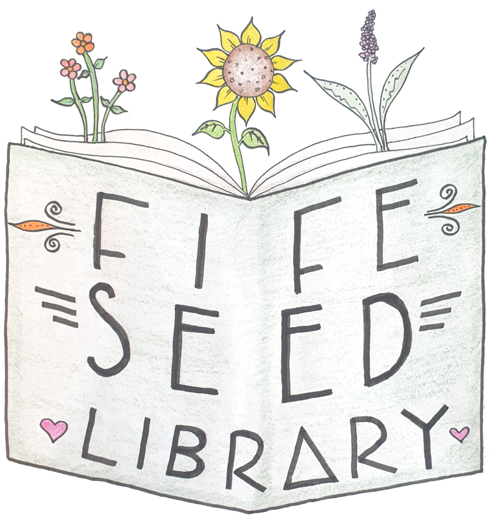 An open book with bright plants and leaves growing from the pages, with Fife Seed Library on the cover