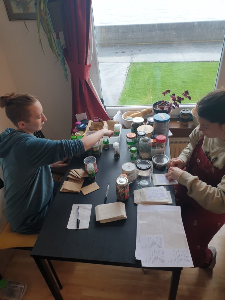 Two people sitting at a table sorting seeds into pots and packets.