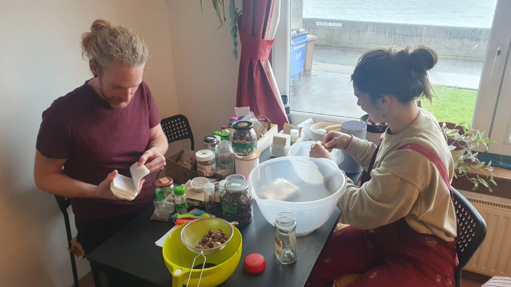 Two people sorting seeds at a table.