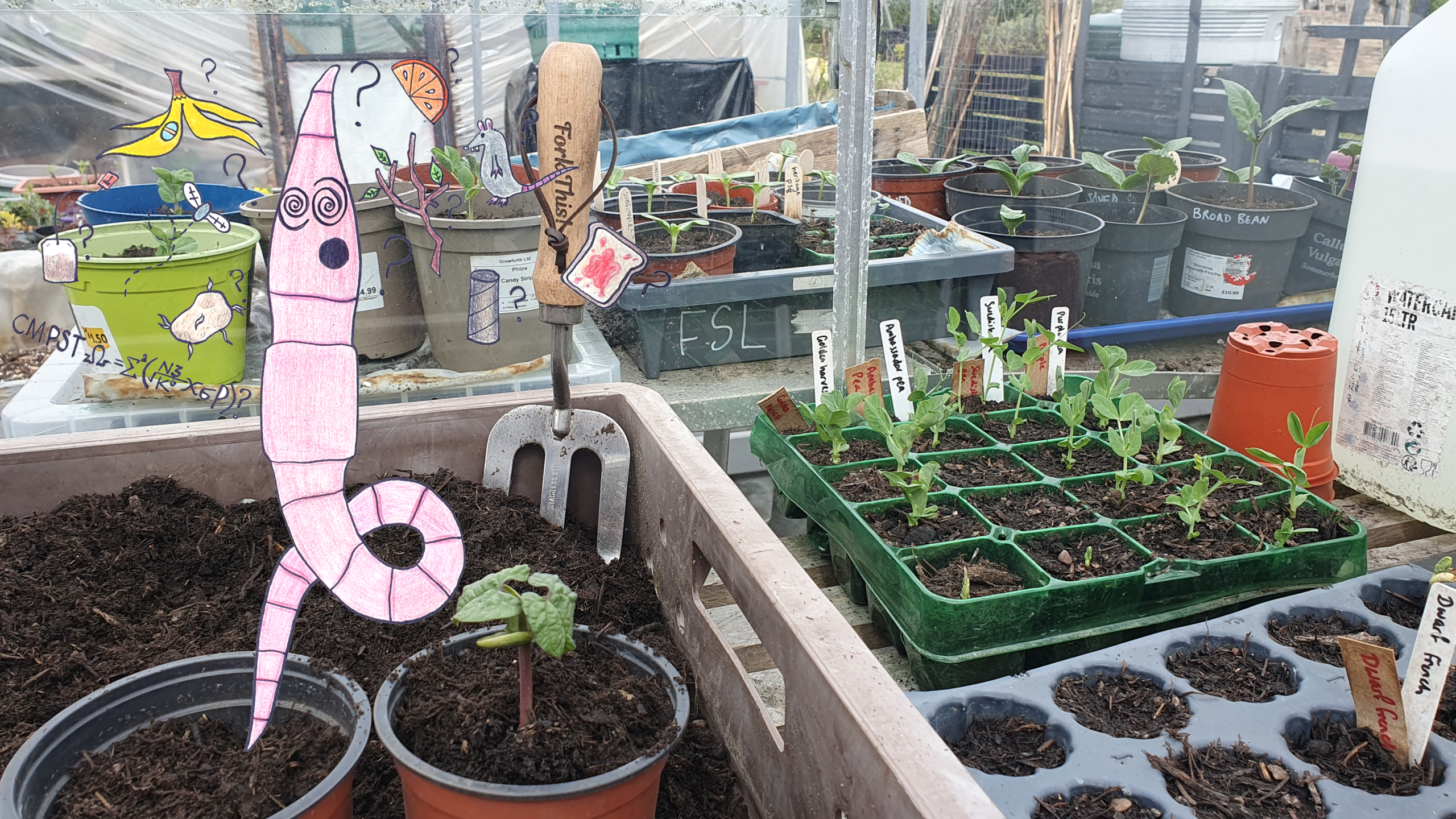 Trays of potting mix and seedlings, with a confused worm thinking about compost inputs