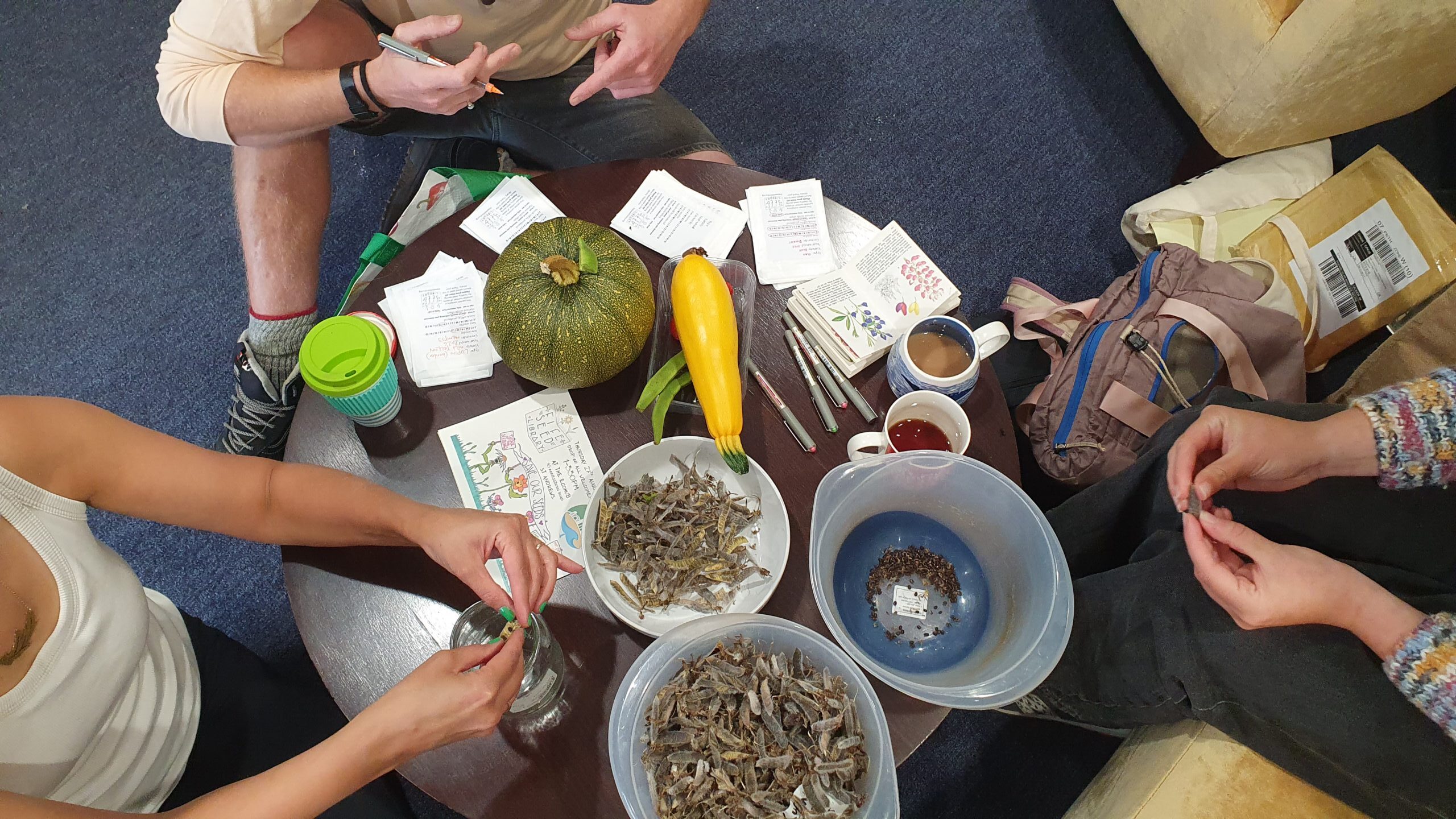 Hands sorting seeds around a table, with bowls of seed, squash, and packets and labels